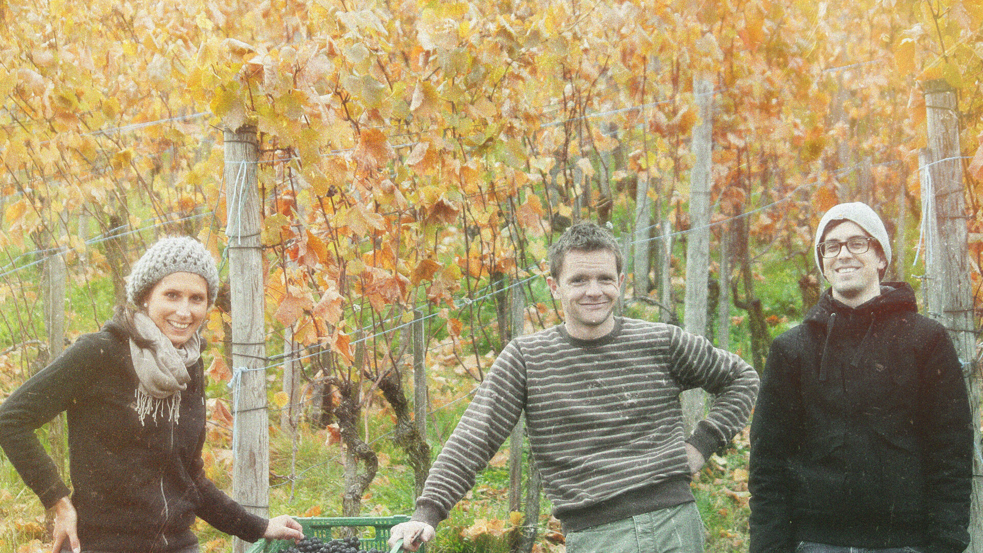 Hilfswimmer, Klettgau, 2010